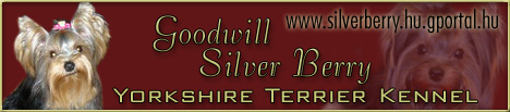 Goodwill Silver Berry   - Kattintson ide a megnyitshoz!